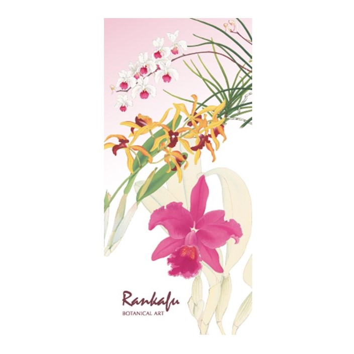 蘭花ページ ｸﾘｱﾌｧｲﾙ A4 蘭花譜 | 智光法人向けオンラインショップ（水族館、植物園